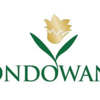 PT Gondowangi